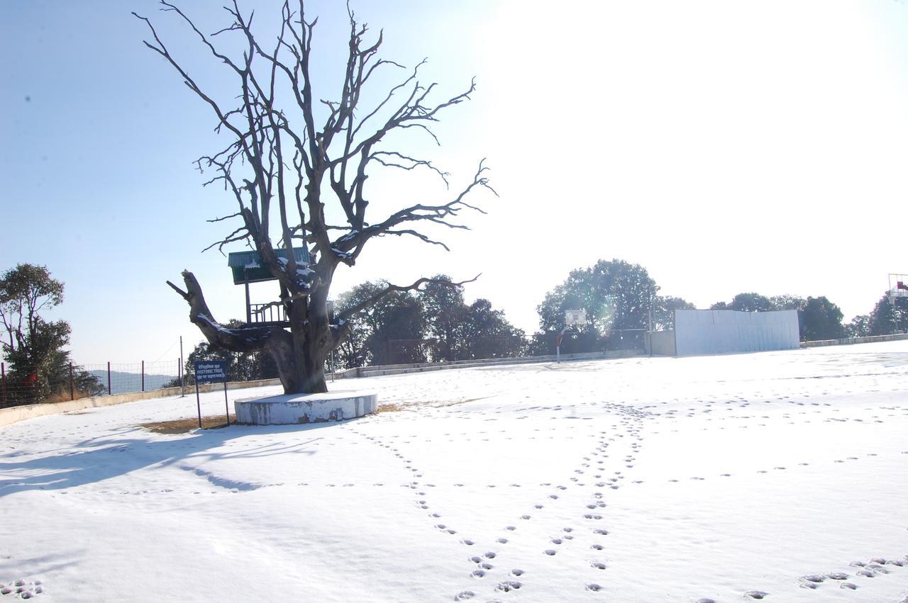 Jungle Livinn Resort Chail Exterior photo