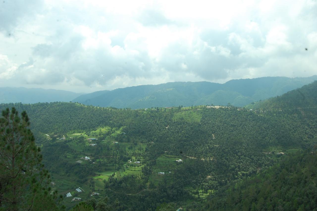 Jungle Livinn Resort Chail Exterior photo