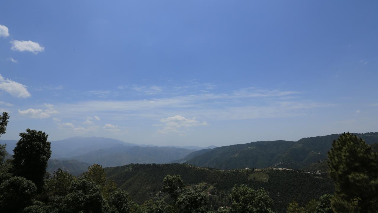Jungle Livinn Resort Chail Exterior photo