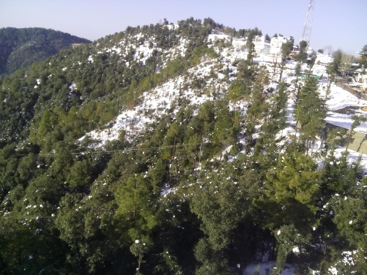 Jungle Livinn Resort Chail Exterior photo